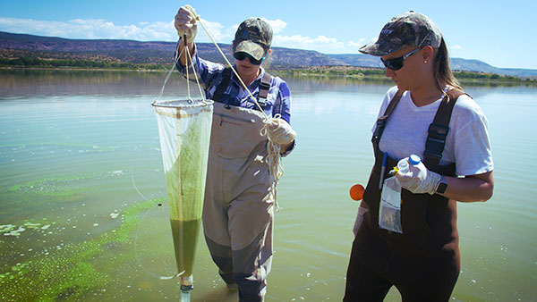 Two people study algae in a body of water.