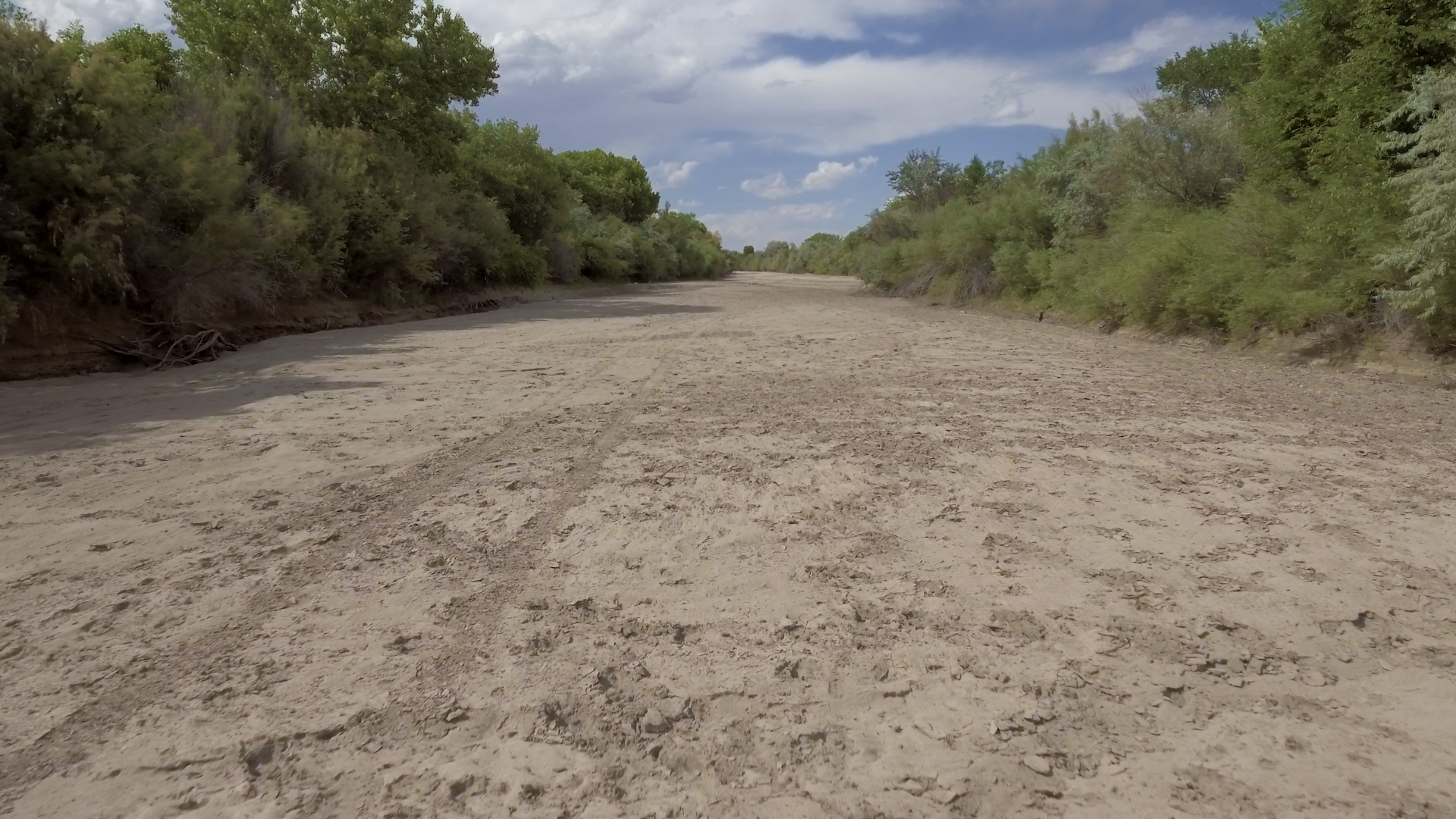 Impact of a Dry Rio Grande - New Mexico In Focus