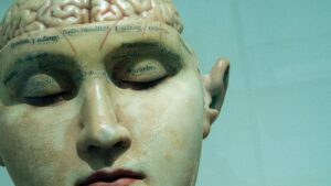 Bust of a human head with cranium detached, revealing the brain and scientific labels.