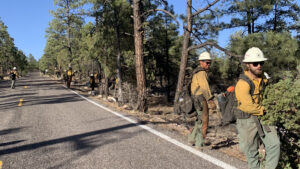 Firefighters working on the side of a road working on the Black Fire.