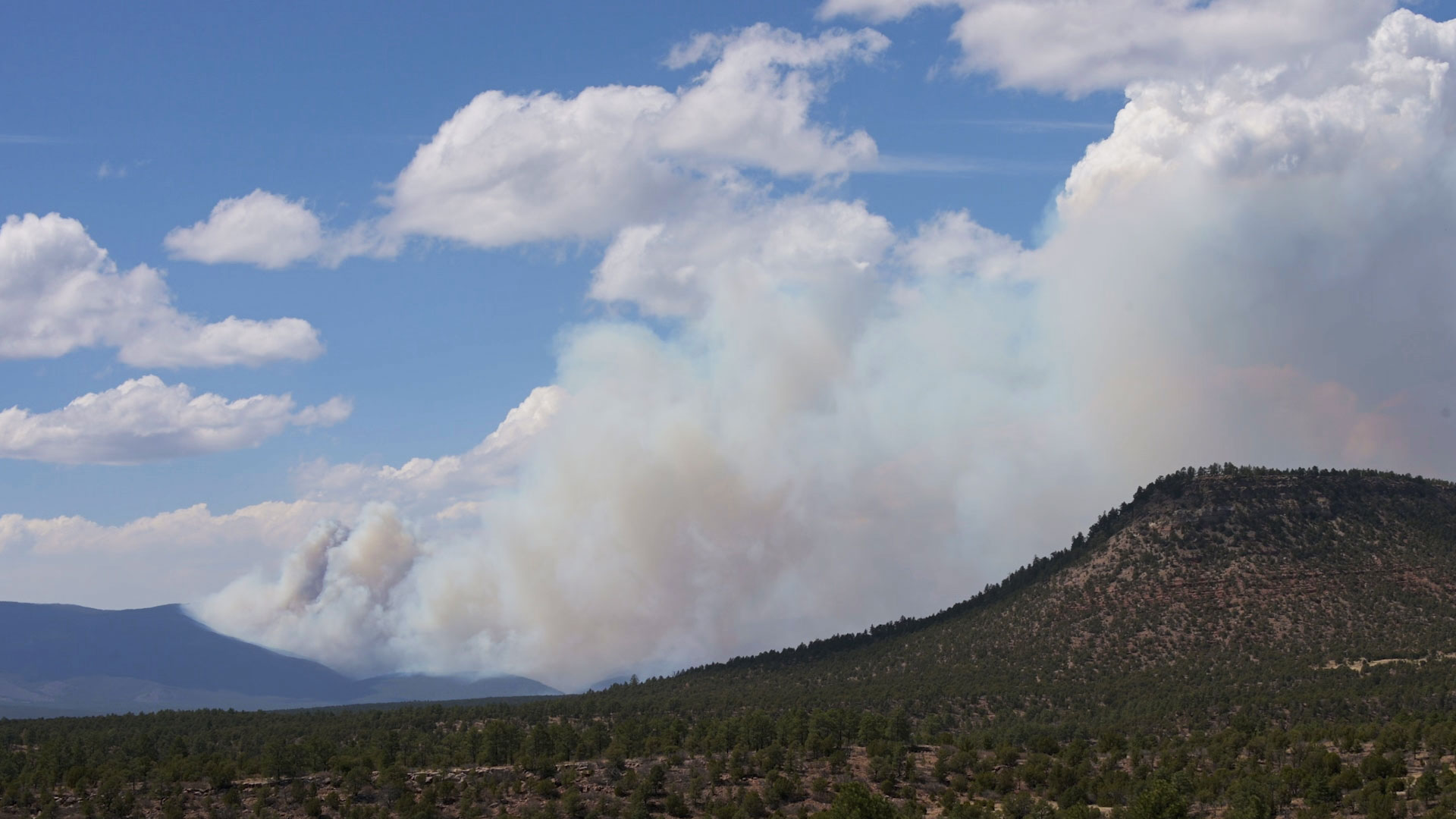 Reporting Challenges During Hermit’s Peak/Calf Canyon Fire - New Mexico ...