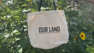 A beige tote bag with the words "OUR LAND: New Mexico's Environmental Past, Present and Future" printed on it, hanging among tall green plants and sunflowers, reflecting the vital importance of water in sustaining this vibrant landscape.