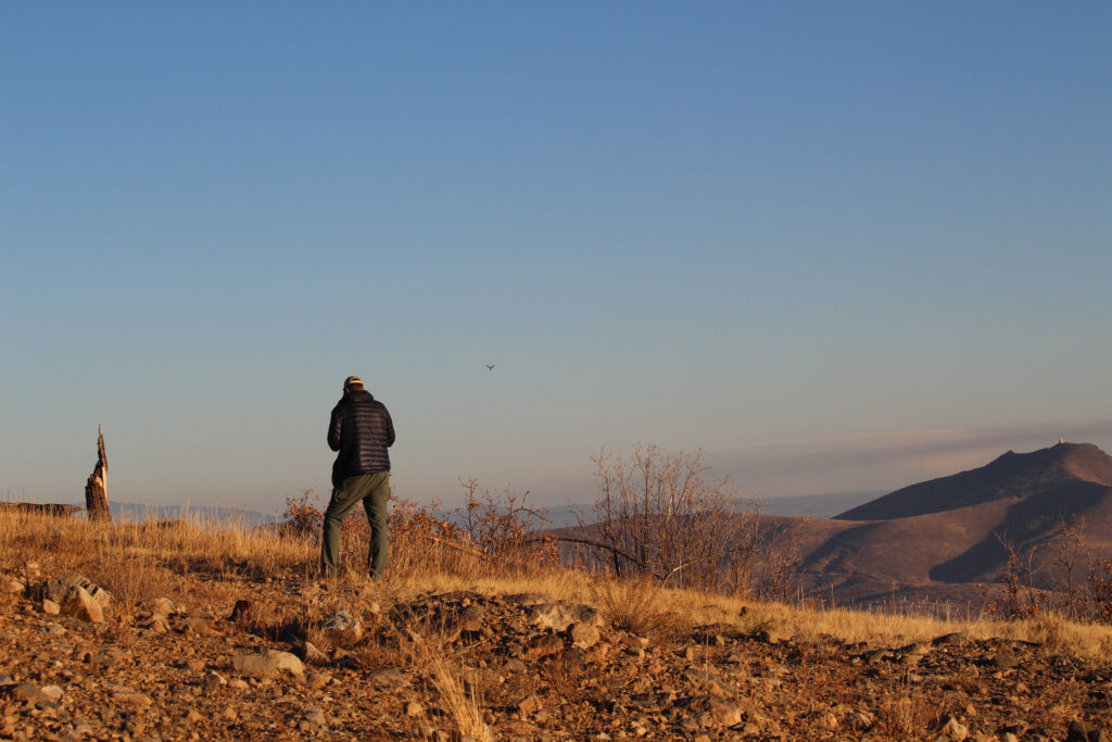 A person stands on a dry, rocky landscape with hills and a clear sky in the background, facing away from the camera. Nearby, resilient bushes hint at hidden sources of water in this arid expanse.