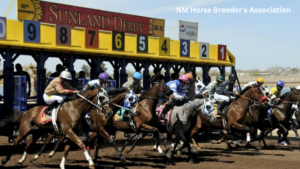 Jockeys and horses taking off from the starting gate at the Sunland Derby race, with numbers 1 through 9 visible above them.