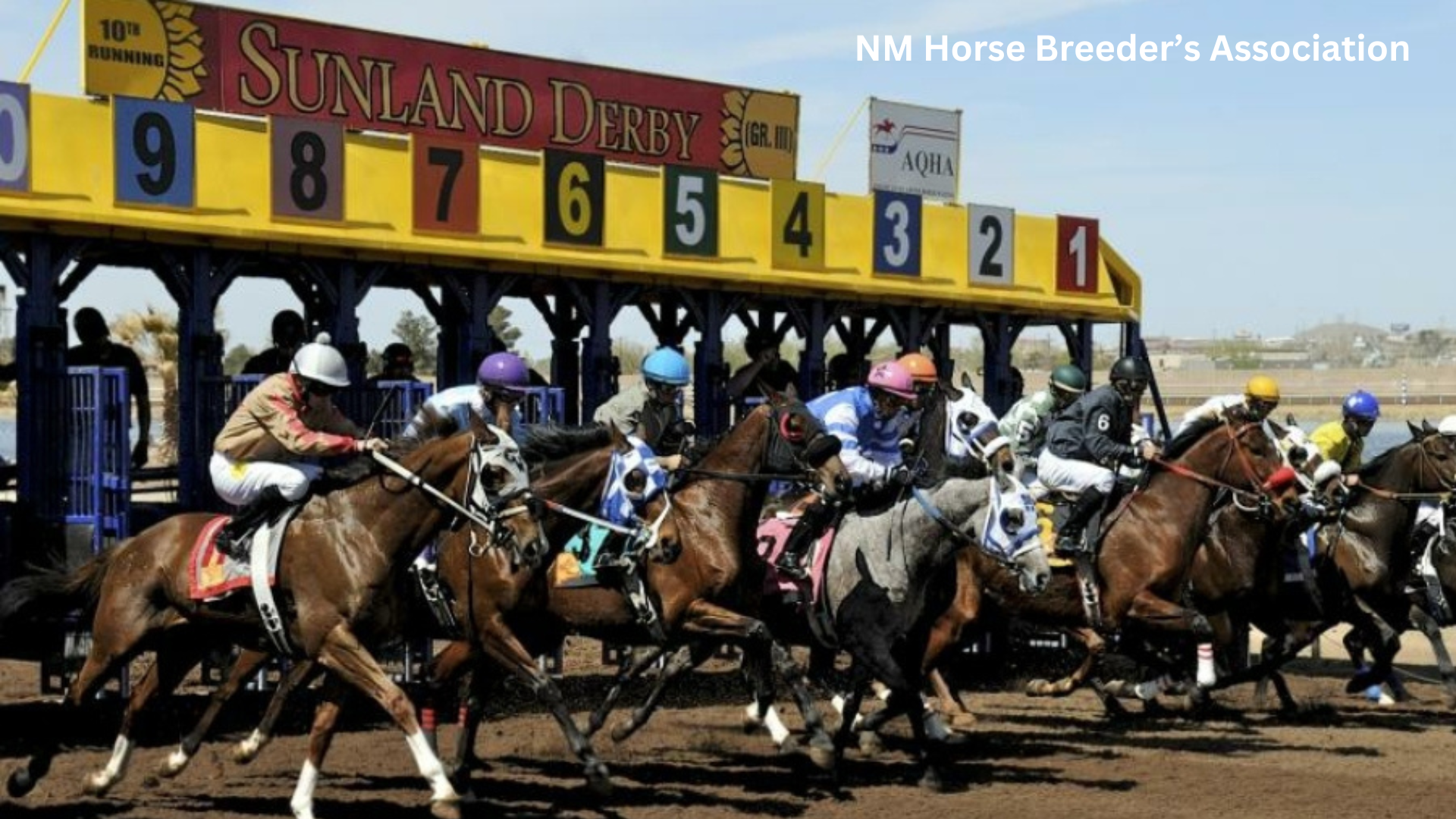 The Political Power of NM’s Horse Racing Industry