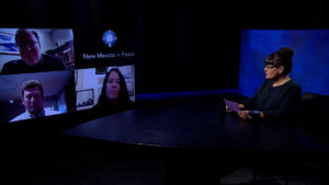 A woman sits at a table, participating in a video conference with three people displayed on a screen labeled "New Mexico in Focus.