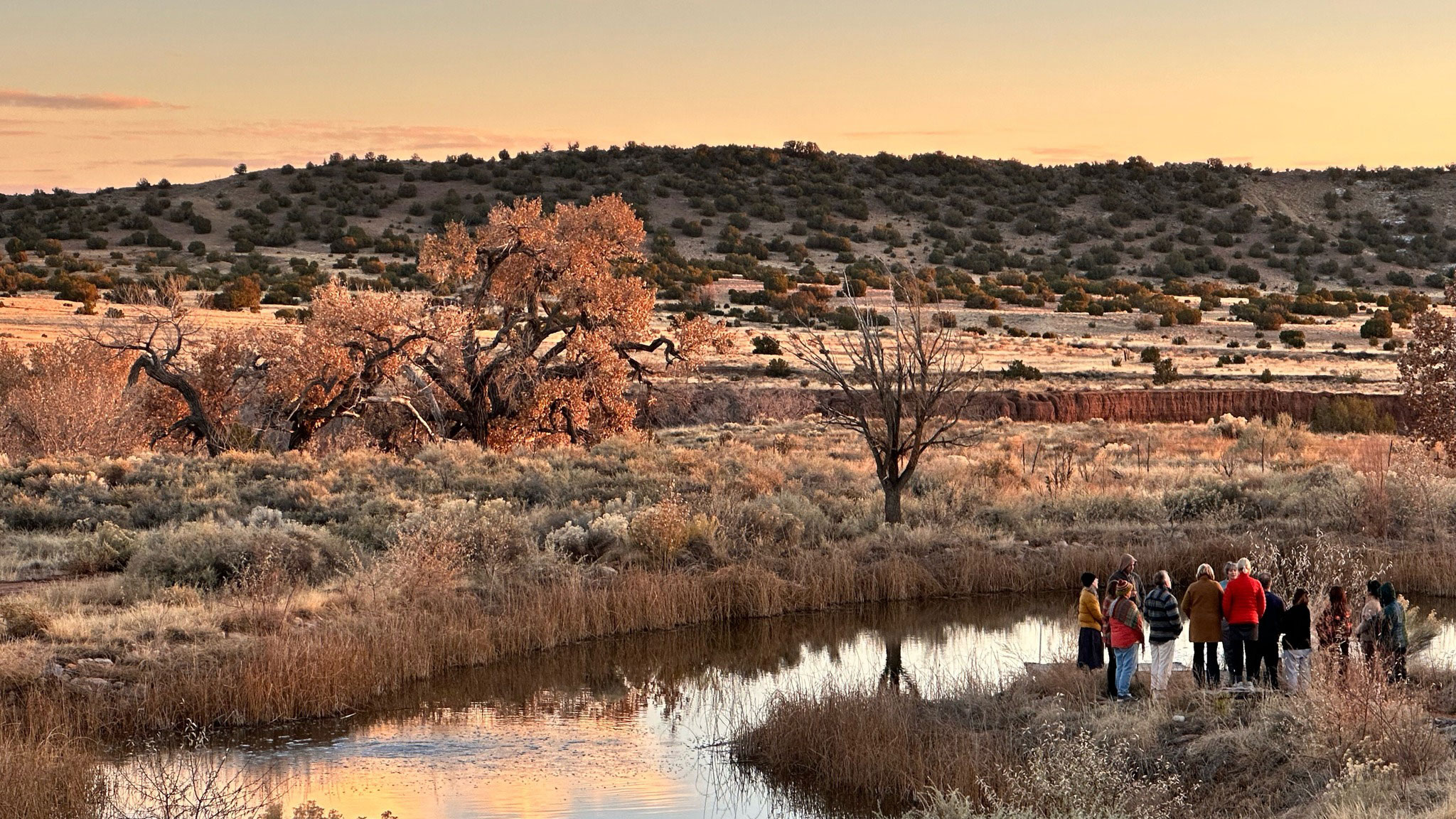 Reframing NM’s Growing Elderly Population