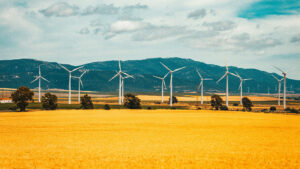 Wind turbines in a golden field with mountains in the background under a partly cloudy sky.